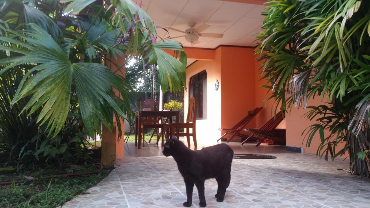 Embassy House Bed & Breakfast Puerto Jimenez Exterior photo