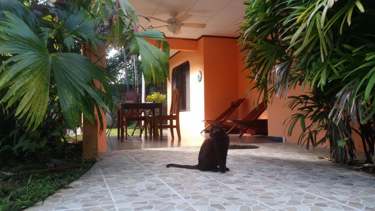 Embassy House Bed & Breakfast Puerto Jimenez Exterior photo